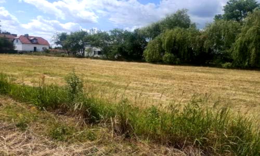 Duża działka MPZP Skórzewo - zdjęcie 4