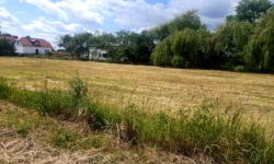 Duża działka MPZP Skórzewo - zdjęcie 4