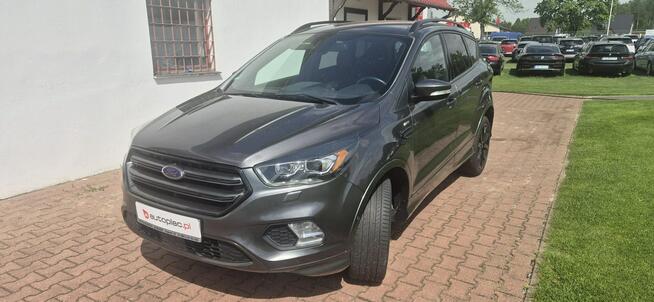 Ford Kuga ST-LINE-KAMERA-START-STOP Paproć - zdjęcie 4