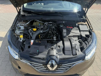 Renault Megane Zielona Łąka - zdjęcie 10