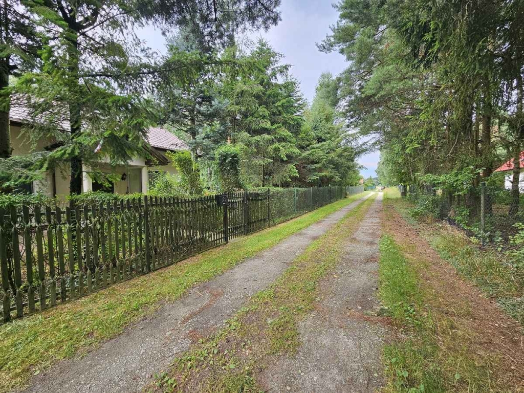 Działka budowlana (6000 m2) JEZIORO/LAS (Drogoszowice) Drogoszowice - zdjęcie 8