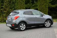 Innovation bi-Xenon Ledy Navi Skóry Grzana Kierownica Parktr. Aso Opel Ostrów Mazowiecka - zdjęcie 4