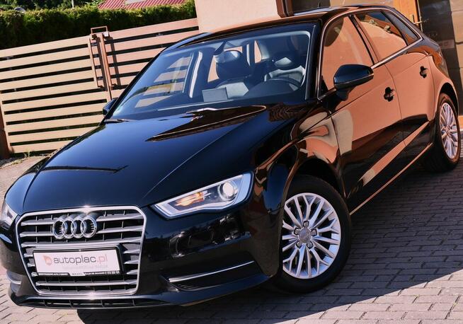 2.0 TDI 184 KM SPORTBACK 5-DRZWI WEBASTO KLIMATRON FULL LED Białogard - zdjęcie 4