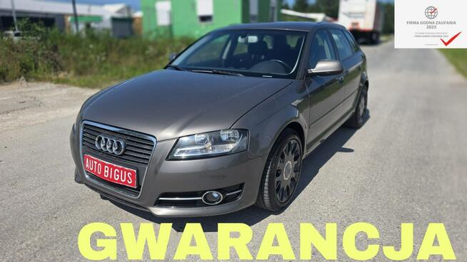Audi A3 Climatronic  zarejestrowane wymieniony rozrząd Lębork - zdjęcie 1