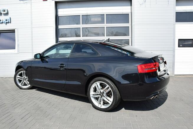 Audi A5 2.0 TDI Bi-Xenon LED Navi Skóra 232 tys.km. Euro-5 Hrubieszów - zdjęcie 10