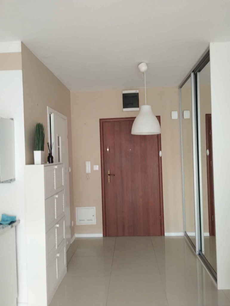 Wynajmę kawalerkę/30m2 Aleksandrów Łódzki - zdjęcie 6