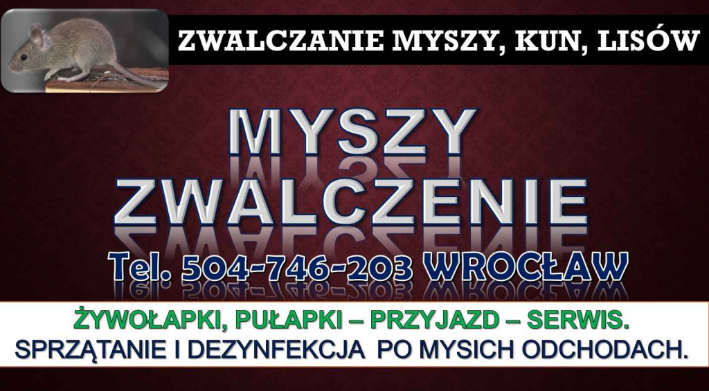 Likwidacja myszy, cennik, tel 504746203. Wrocław. Zwalczanie, usuwanie Psie Pole - zdjęcie 1