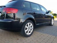 Audi A3 2.0FSI, 2005, I właściciel w PL, nowy rozrząd Lublin - zdjęcie 5