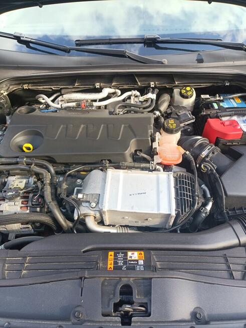 Focus mk4 2.0 ecoblue Mielec - zdjęcie 5