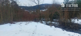 Wyjątkowa działka budowlana 92 a –Siary, gm. Sękowa 1177S/2026 Siary - zdjęcie 4