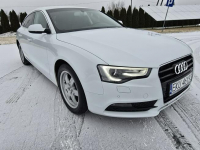 Audi A5 2,0tdi Navigacja.Skóry.Tempomat.Xenony.Ledy.Alu.kredyt! Kutno - zdjęcie 4