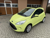 Ford KA 1,2 69KM  Klimatronik  Panorama Orzech - zdjęcie 12