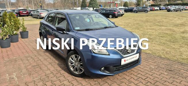 Suzuki Baleno LED Paproć - zdjęcie 1
