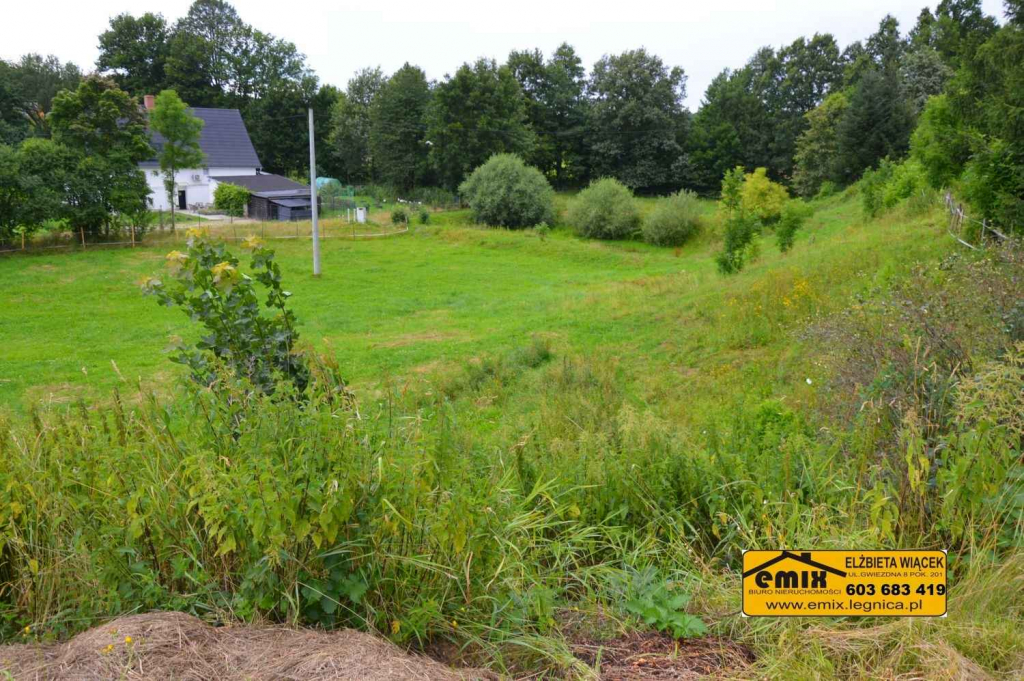 Lokal z możliwością przekształcenia na dom, działka 2800m2 Świerzawa - zdjęcie 10