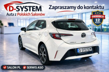 20r Salon Polska hatchback Bezwypadkowy Serwis ASO Toyota Białystok - zdjęcie 3