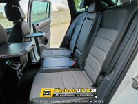 Volkswagen Tiguan R-Line Telefon: 733_916_297 Leszno - zdjęcie 10