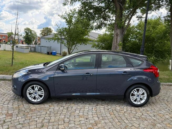 Ford Focus 1.6 TDCi DPF Champions Edition Gostynin - zdjęcie 3