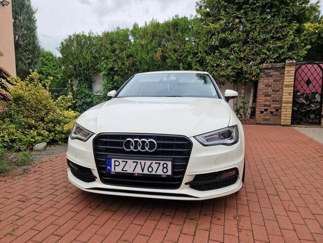 Audi A3 S-Line 1.6 Tdi Xenon Led Bardzo Sliczna Poznań - zdjęcie 2