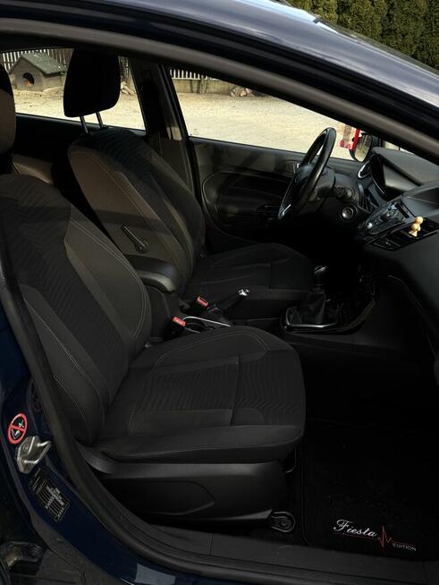 Ford Fiesta Mk 7 Róża - zdjęcie 8