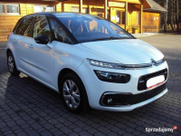 Citroen C4 Picasso II 1.6 BlueHDi Shine S&amp;S EAT6 Wałdowo Szlacheckie - zdjęcie 5