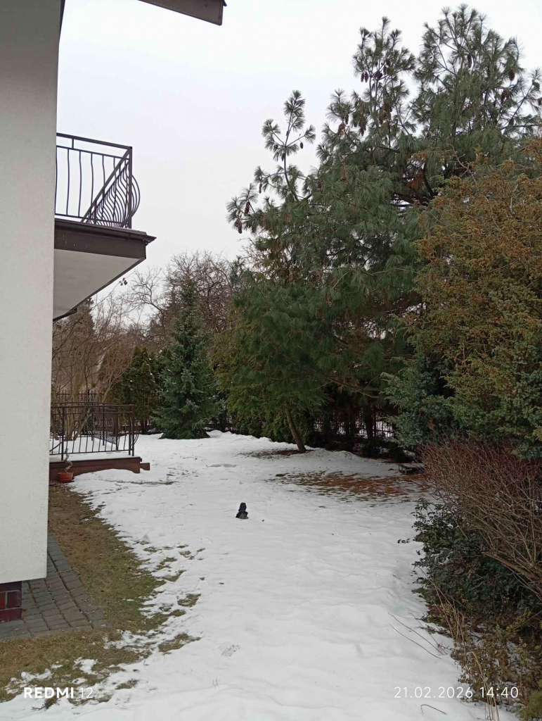 Dom na wynajem bezpośrednio, Warszawa Ursynów Ursynów - zdjęcie 3