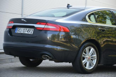 Jaguar XF Czarny Zarejestrowany 2.2D 163KM Skóra Bi-xenon Navi Kutno - zdjęcie 12
