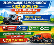 Złomowanie samochodów ciężarowych - Śląsk i Małopolska | Szybki odbiór