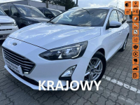 Ford Focus Salon Polska fv23