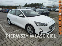 Ford Focus Salon Polska fv23
