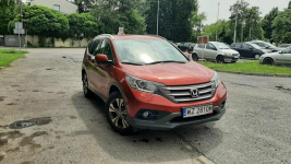 Slon Polska I Właściciel