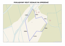 Zainwestuj na obszarze Natura 2000 Puszcza Notecka Marylin - zdjęcie 7