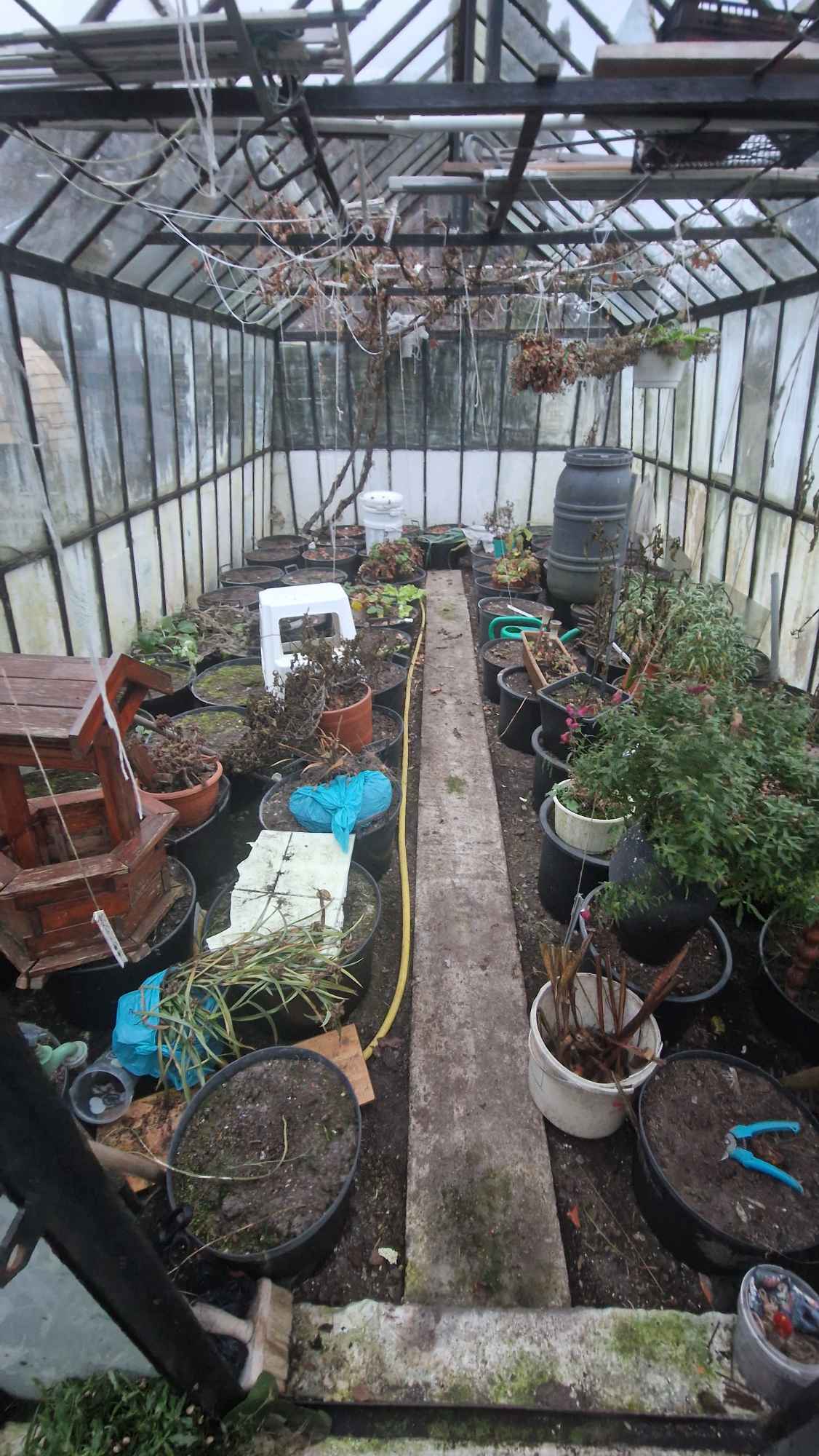 Sprzedam działke ROD - Altanka + szklarnia GIŻYCKO Giżycko - zdjęcie 6