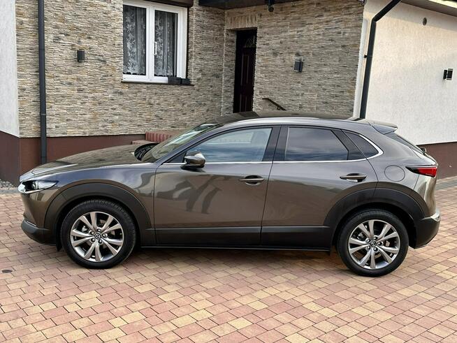Mazda CX-30 Sadlno - zdjęcie 7