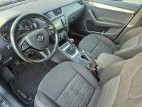 Škoda Octavia Full ASO Bezwypadkowy Bixenon Navi Kraków - zdjęcie 11