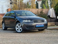 Audi A3 1.6*Benzyna*Skóra*Klima Kętrzyn - zdjęcie 8