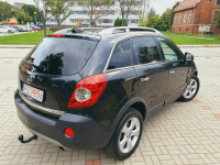 Opel Antara 2.0cdti 150KM COSMO Oryginał Bezwypadkowa Stan Wzorowy Zielona Łąka - zdjęcie 3