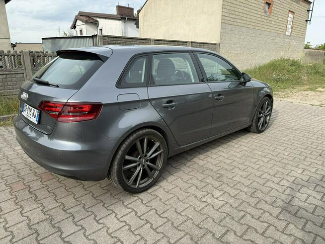 Audi A3 1,6TDI Poniec - zdjęcie 4