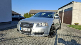 Sprzedam Audi A3 8P z 2008r. Kalisz - zdjęcie 11