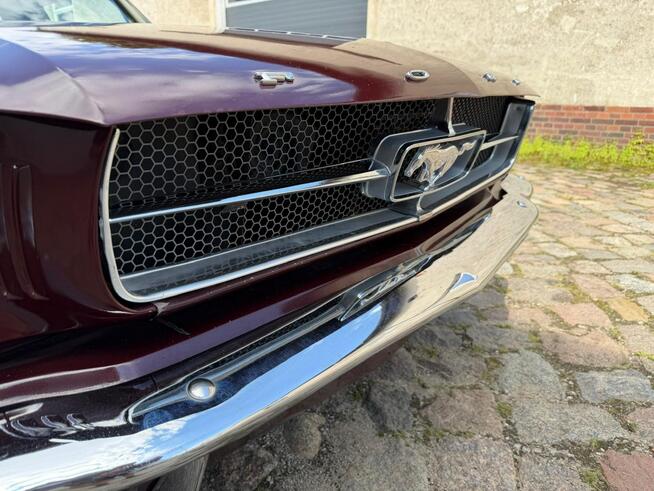 1965 Ford Mustang 289 v8 Automat Sprowadzony LUXURYCLASSIC Koszalin - zdjęcie 8