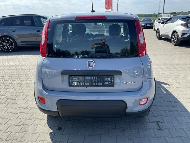 Fiat Panda mHEV Klimatyzacja Gliwice - zdjęcie 3