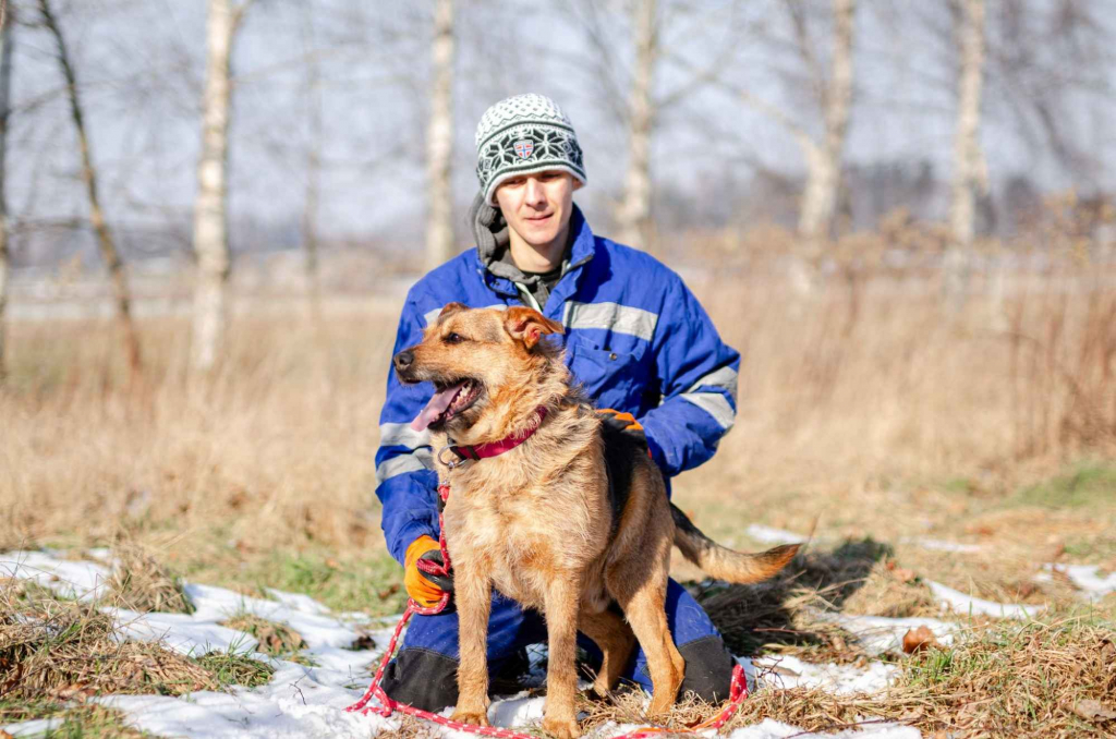 Kufel - fantastyczny, szorstkowłosy psiak szuka domu! Olsztyn - zdjęcie 4