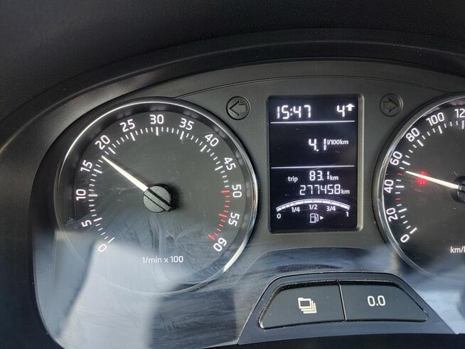 Sprzedam Marianki - zdjęcie 4