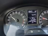 Sprzedam Marianki - zdjęcie 4