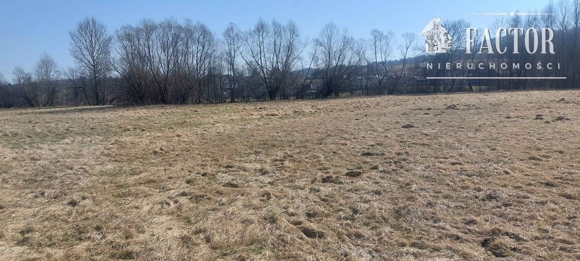 Działka rolna 1,3 ha w Racławicach – potencjał pod OZE 1189S/2026 Racławice - zdjęcie 5