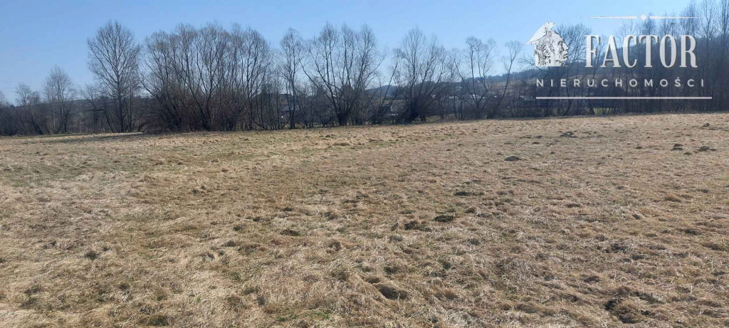 Działka rolna 1,3 ha w Racławicach – potencjał pod OZE 1189S/2026 Racławice - zdjęcie 5