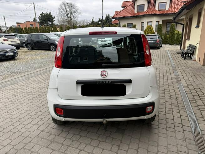 Fiat Panda !! Rezerwacja !! Orzech - zdjęcie 8