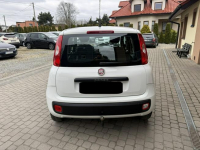 Fiat Panda !! Rezerwacja !! Orzech - zdjęcie 8