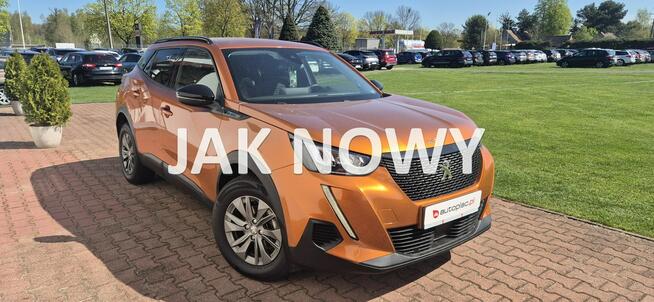 Peugeot 2008 KAMERA 360-LIFT-LED-METALIC Paproć - zdjęcie 1