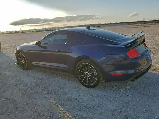 Ford Mustang / 2.3 317KM / Niski przebieg / Tarnów - zdjęcie 5