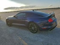 Ford Mustang / 2.3 317KM / Niski przebieg / Tarnów - zdjęcie 5